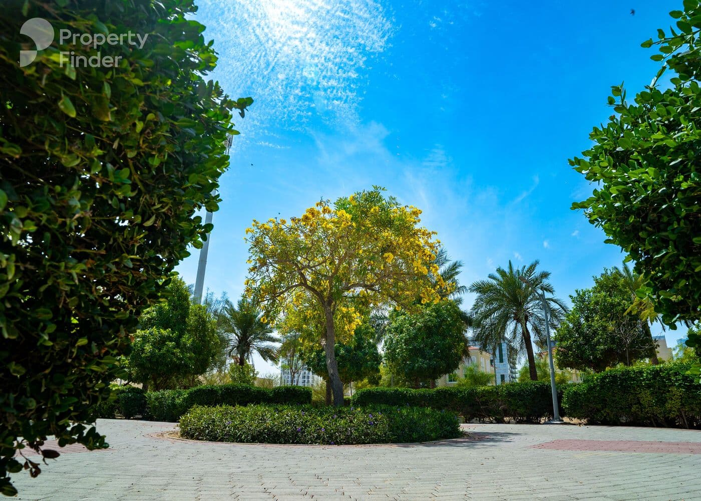 Exclusive | Spacious | Studio | Low Rise image 25